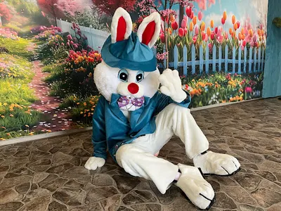 Przystanek Zajączkowo